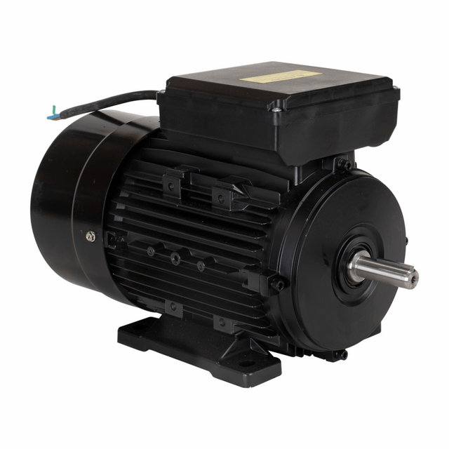 YL100L1-4 MOTOR ELETR MONO LYNUS 3,0CV 4P IP55 BIVOLT