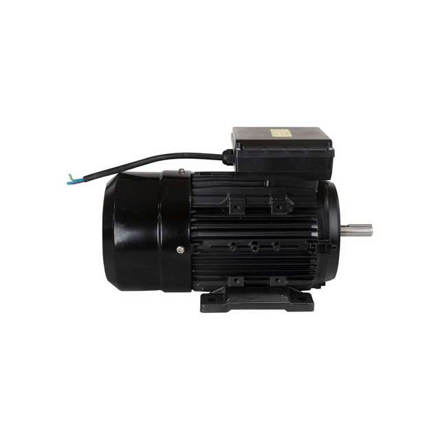 YL90S-2 MOTOR ELETR MONO LYNUS 2,0CV 2P IP55 BIVOLT