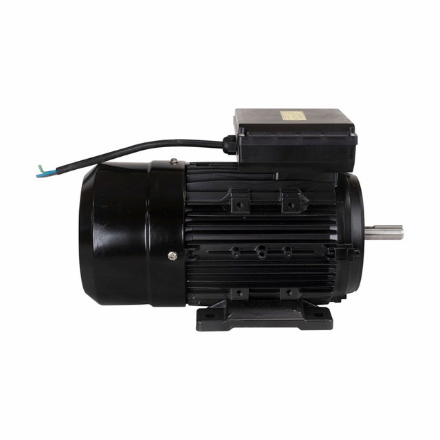 YL90L-4 MOTOR ELETR MONO LYNUS 2,0CV 4P IP55 BIVOLT 