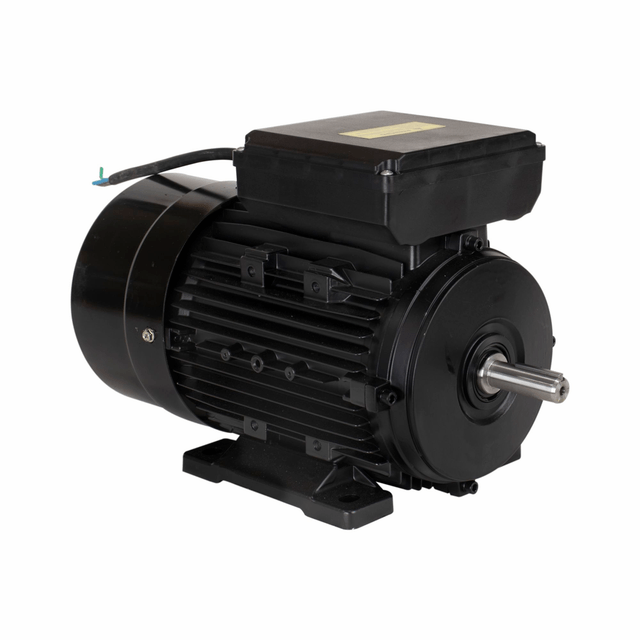YL90L-4 MOTOR ELETR MONO LYNUS 2,0CV 4P IP55 BIVOLT 