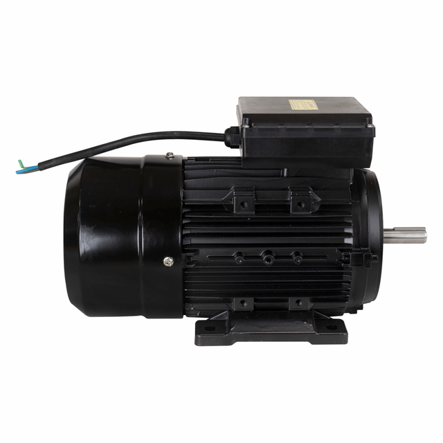 YL100L1-4 MOTOR ELETR MONO LYNUS 3,0CV 4P IP55 BIVOLT