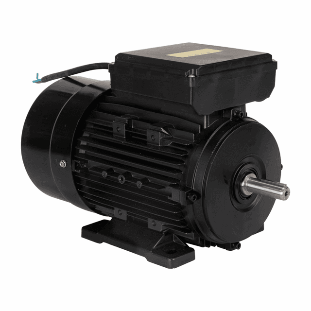 YL100L1-4 MOTOR ELETR MONO LYNUS 3,0CV 4P IP55 BIVOLT