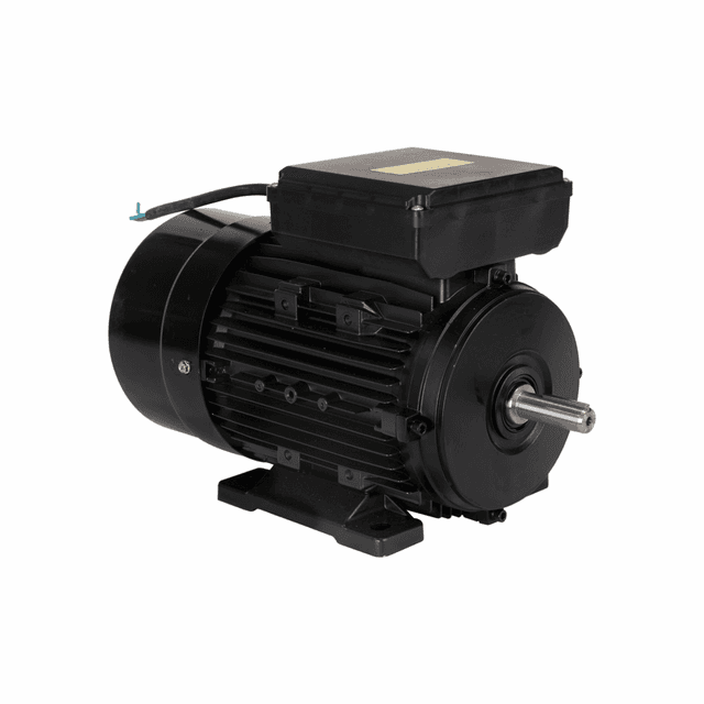 YL90L-2 MOTOR ELETR. MONO LYNUS 3,0CV 2P IP55 BIVOLT