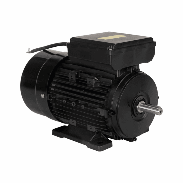 YL90L-4 MOTOR ELETR MONO LYNUS 2,0CV 4P IP55 BIVOLT 